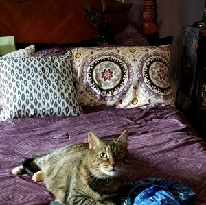 Meet your Posher, April